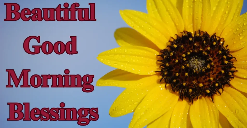 Beautiful Good Morning Blessings