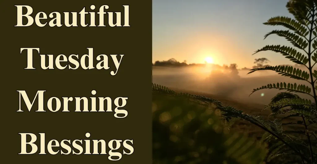 Beautiful Tuesday Morning Blessings