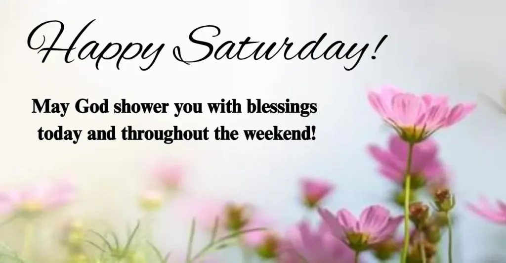 Happy Saturday!