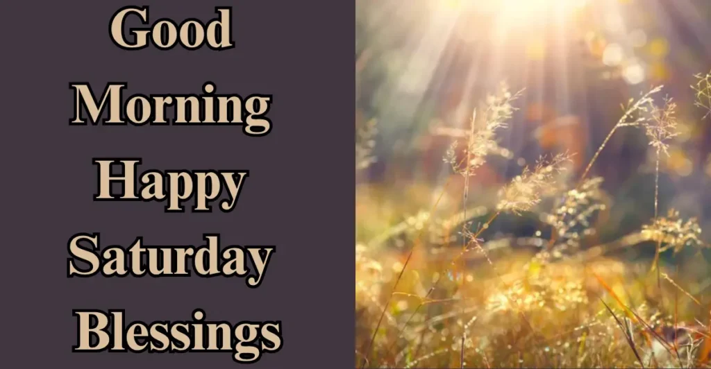 Good morning happy Saturday blessings