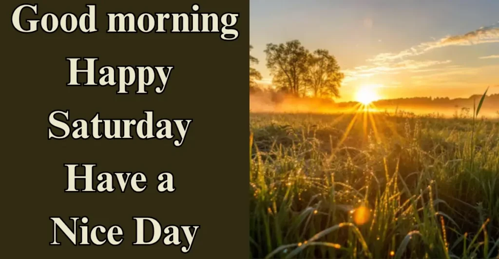 Good morning happy Saturday have a nice day: