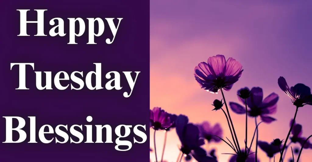Happy Tuesday Blessings