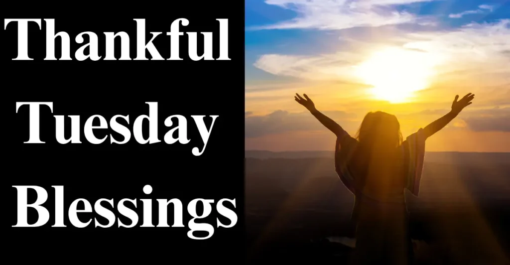Thankful Tuesday Blessings