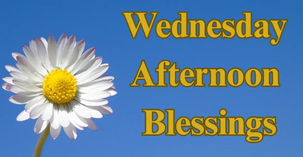 Wednesday Afternoon Blessings