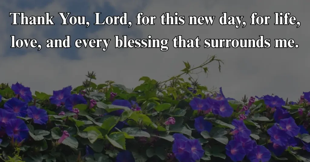 A Morning Prayer of Gratitude