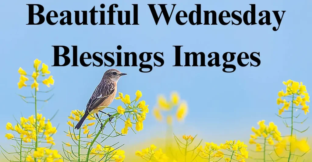 Beautiful Wednesday Blessings Images