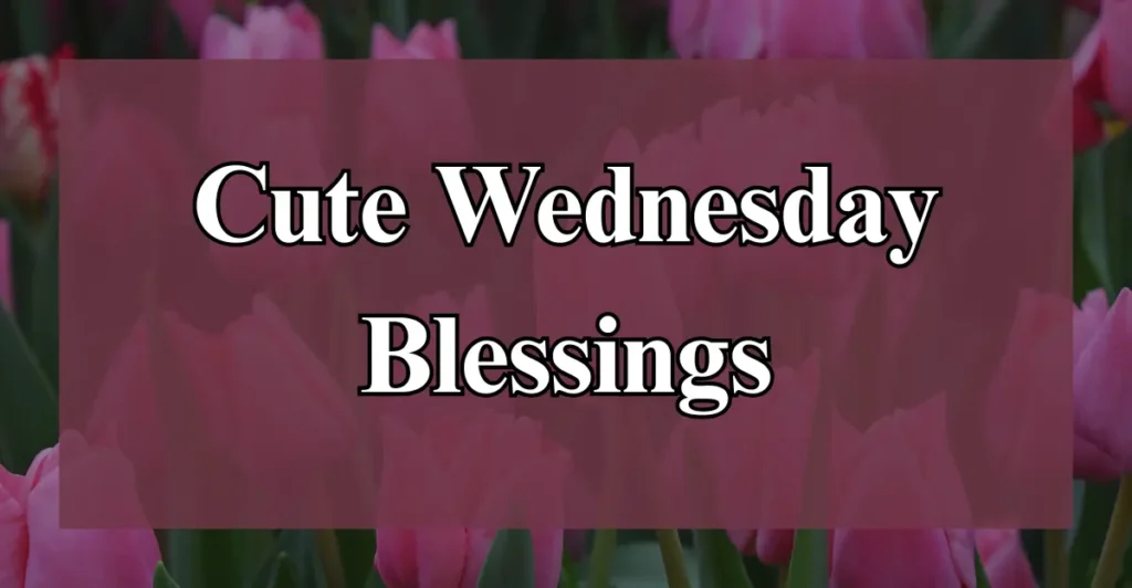 Cute Wednesday Blessings