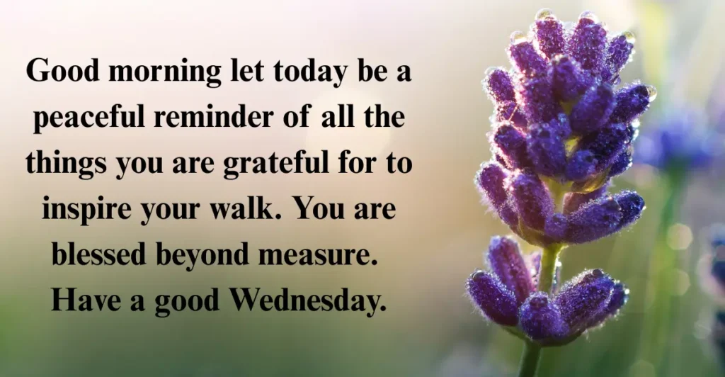 Good Morning Wednesday Blessings and Prayers