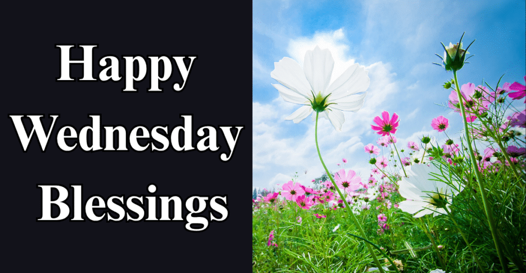 Happy Wednesday Blessings