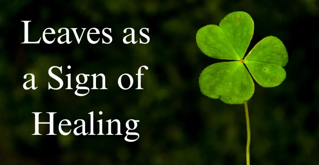 Leaves as a Sign of Healing