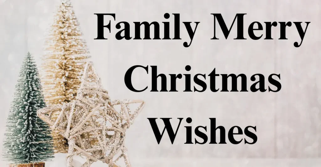 Family Merry Christmas Wishes